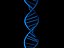 DNA