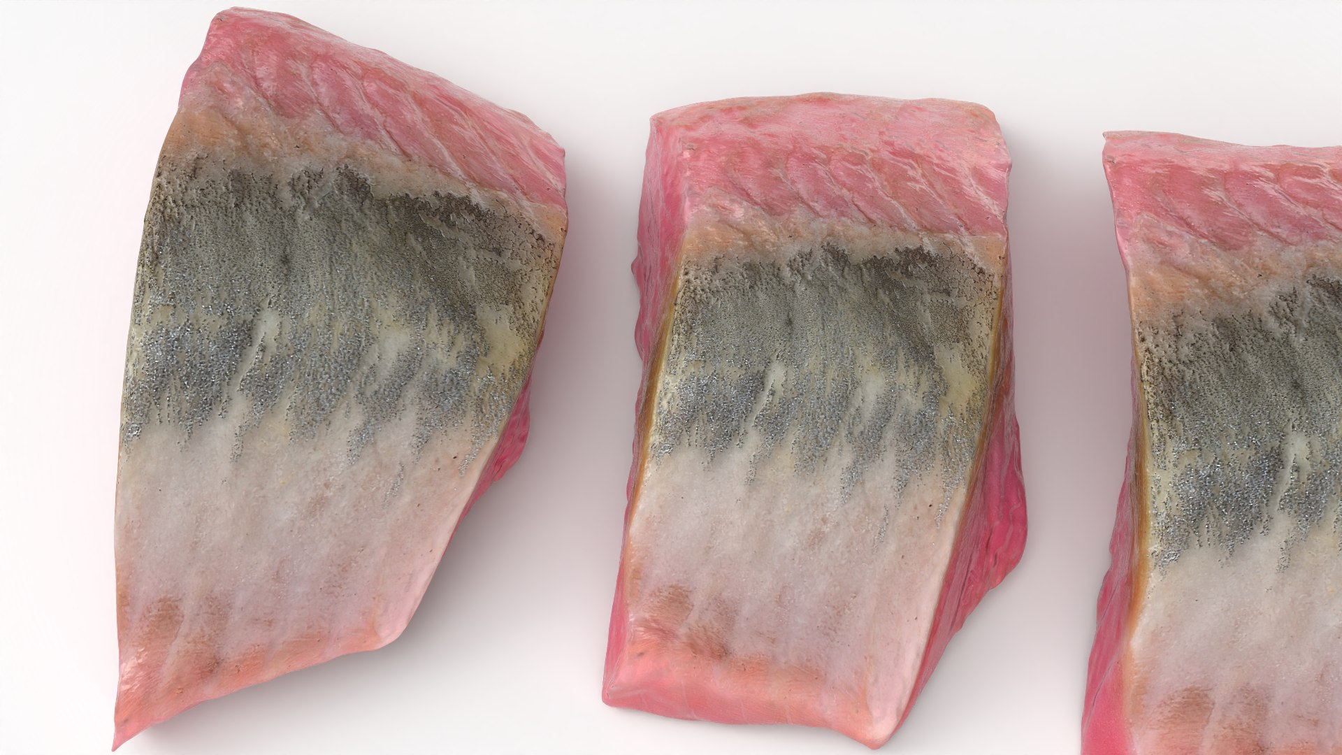 3D Herring Fillet 3 Shapes model https://p.turbosquid.com/ts-thumb/O5/CIx8vp/nN/herringfillet01_0006/png/1780222007/1920x1080/fit_q87/b9105d5321986b665ce6d594e2a8518ae7e4523b/herringfillet01_0006.jpg