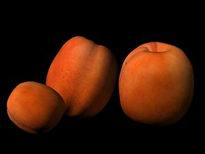 max apricot orange fruit
