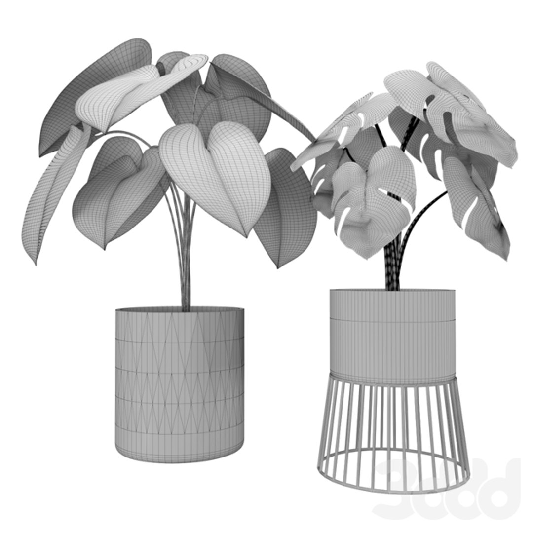plant model https://p.turbosquid.com/ts-thumb/O5/J8LT1H/QQZ2H3IX/2870510.5ecd32cca8c17/png/1596364666/1920x1080/fit_q87/323325fb82f5c0b685002297f2641ff5cd0b4841/2870510.5ecd32cca8c17.jpg