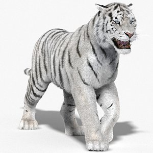 Tiger White Animated Fur