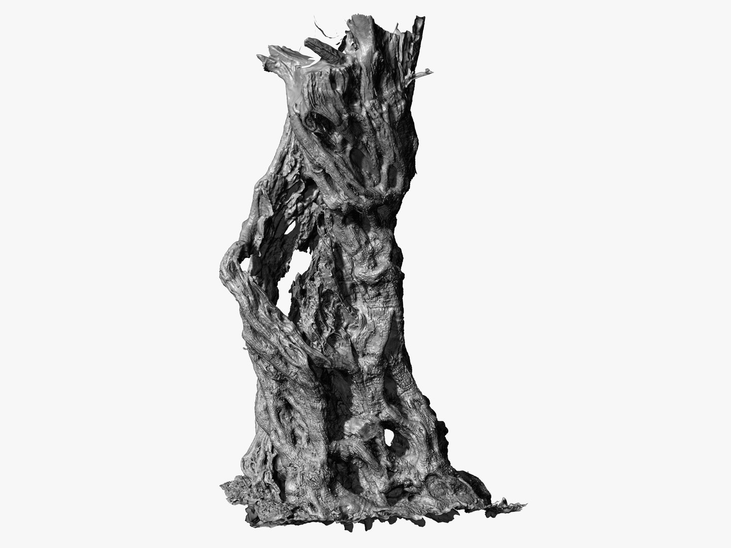 4 OLIVE TREE BUNDLE SCANS COLLECTION TREE PACK 3D model https://p.turbosquid.com/ts-thumb/O5/SK7fiN/2m/zbr_16/jpg/1648404934/1920x1080/fit_q87/0f994f261e63a7e5730f314e20ea5a4e1ed2ca6a/zbr_16.jpg