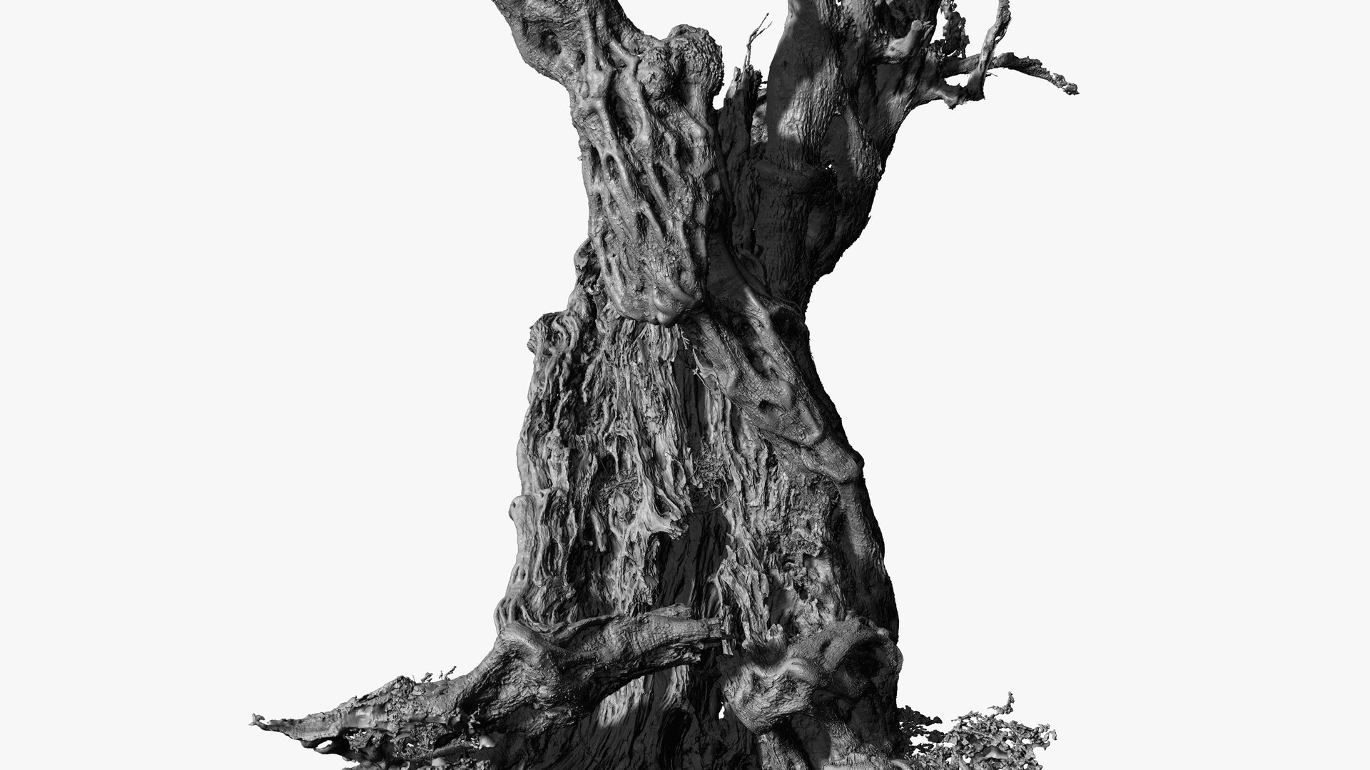 4 OLIVE TREE BUNDLE SCANS COLLECTION TREE PACK 3D model https://p.turbosquid.com/ts-thumb/O5/SK7fiN/Ch/38/jpg/1648404398/1920x1080/fit_q87/b83a90f90b2df49f25b1584829cf1b401d246a43/38.jpg