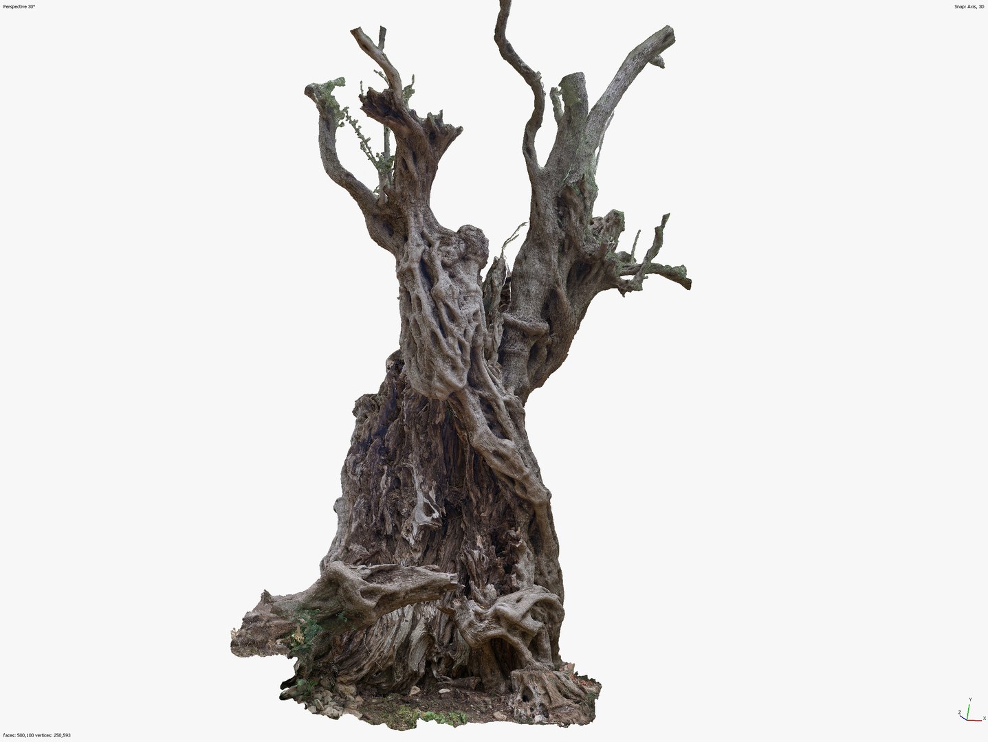 4 OLIVE TREE BUNDLE SCANS COLLECTION TREE PACK 3D model https://p.turbosquid.com/ts-thumb/O5/SK7fiN/EN/screenshot_51/jpg/1648404377/1920x1080/fit_q87/294844d7cb5800cdaa6bee898797277153f8ef00/screenshot_51.jpg