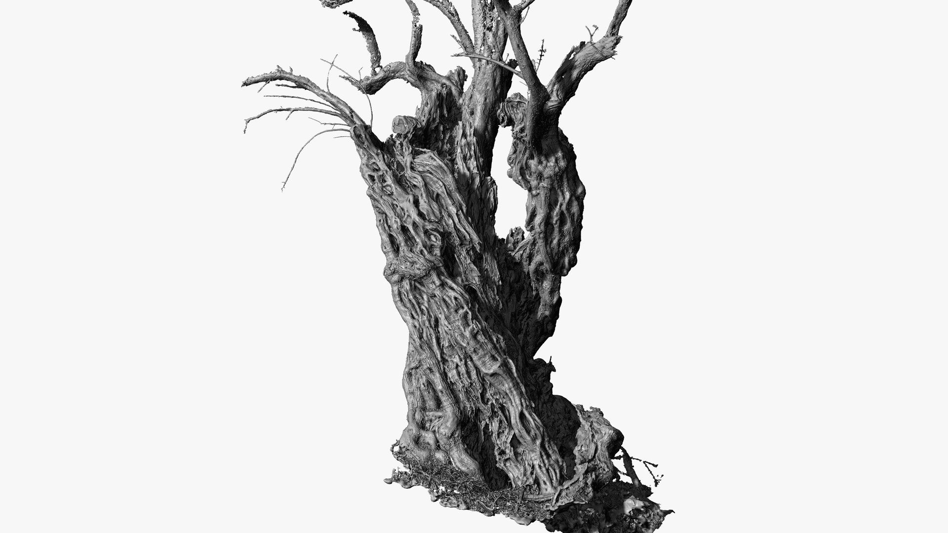 4 OLIVE TREE BUNDLE SCANS COLLECTION TREE PACK 3D model https://p.turbosquid.com/ts-thumb/O5/SK7fiN/UM/25/jpg/1648404381/1920x1080/fit_q87/936db5ca40afc33566963f37cee37dd6186c9d8d/25.jpg