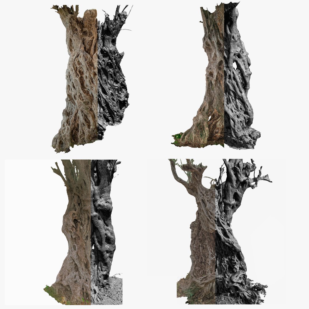 4 OLIVE TREE BUNDLE SCANS COLLECTION TREE PACK 3D model https://p.turbosquid.com/ts-thumb/O5/SK7fiN/dp/bundle_olive_trees_4/png/1648404154/1920x1080/fit_q87/b41383f67f18c9a36d6cf6eae7f0695510aa44cb/bundle_olive_trees_4.jpg
