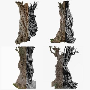 4 OLIVE TREE BUNDLE SCANS COLLECTION TREE PACK 3D model