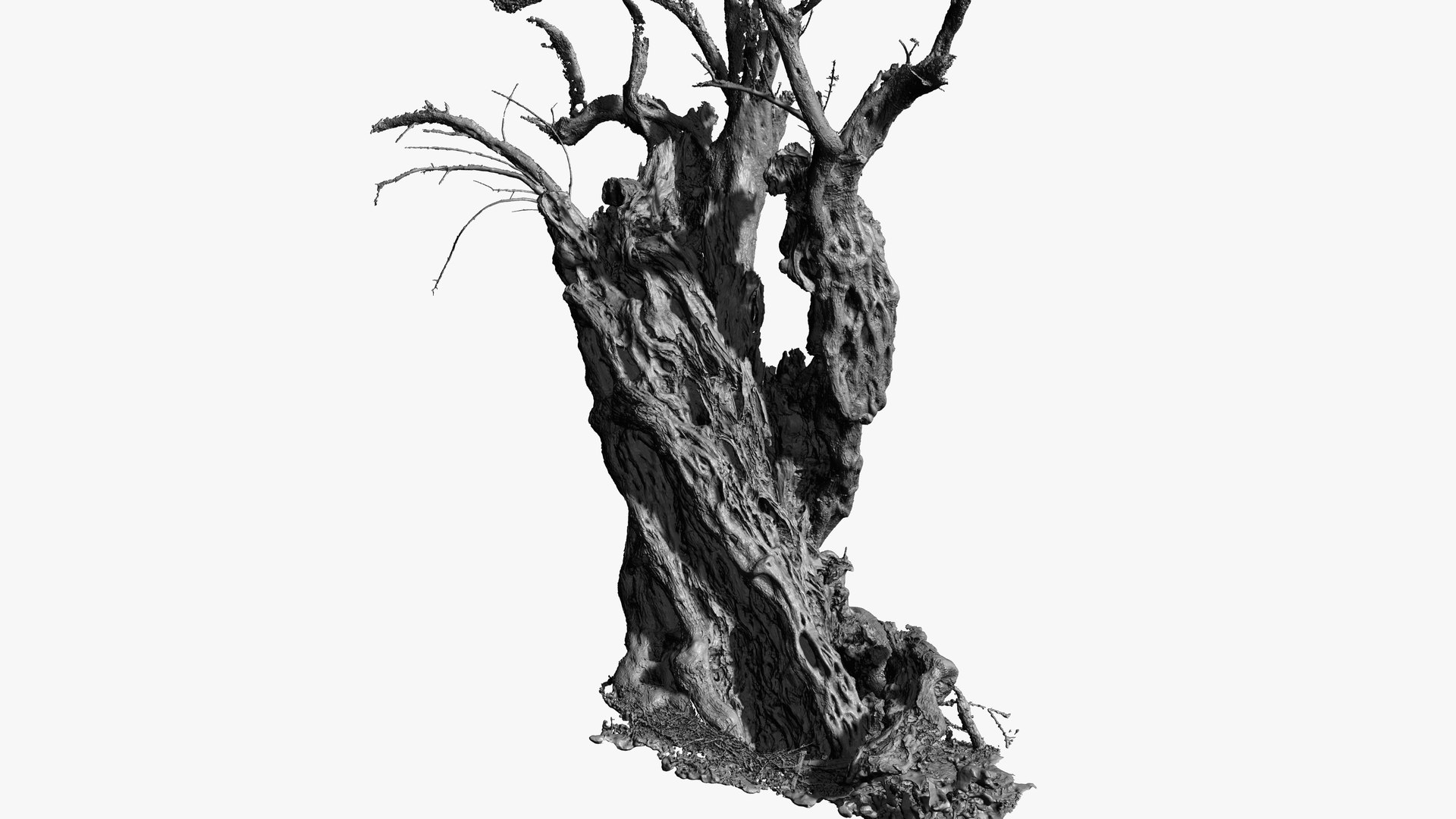 4 OLIVE TREE BUNDLE SCANS COLLECTION TREE PACK 3D model https://p.turbosquid.com/ts-thumb/O5/SK7fiN/fz/29/jpg/1648404389/1920x1080/fit_q87/8ddb1542efd3ee46e1ee15fadf06c592fca93d6f/29.jpg