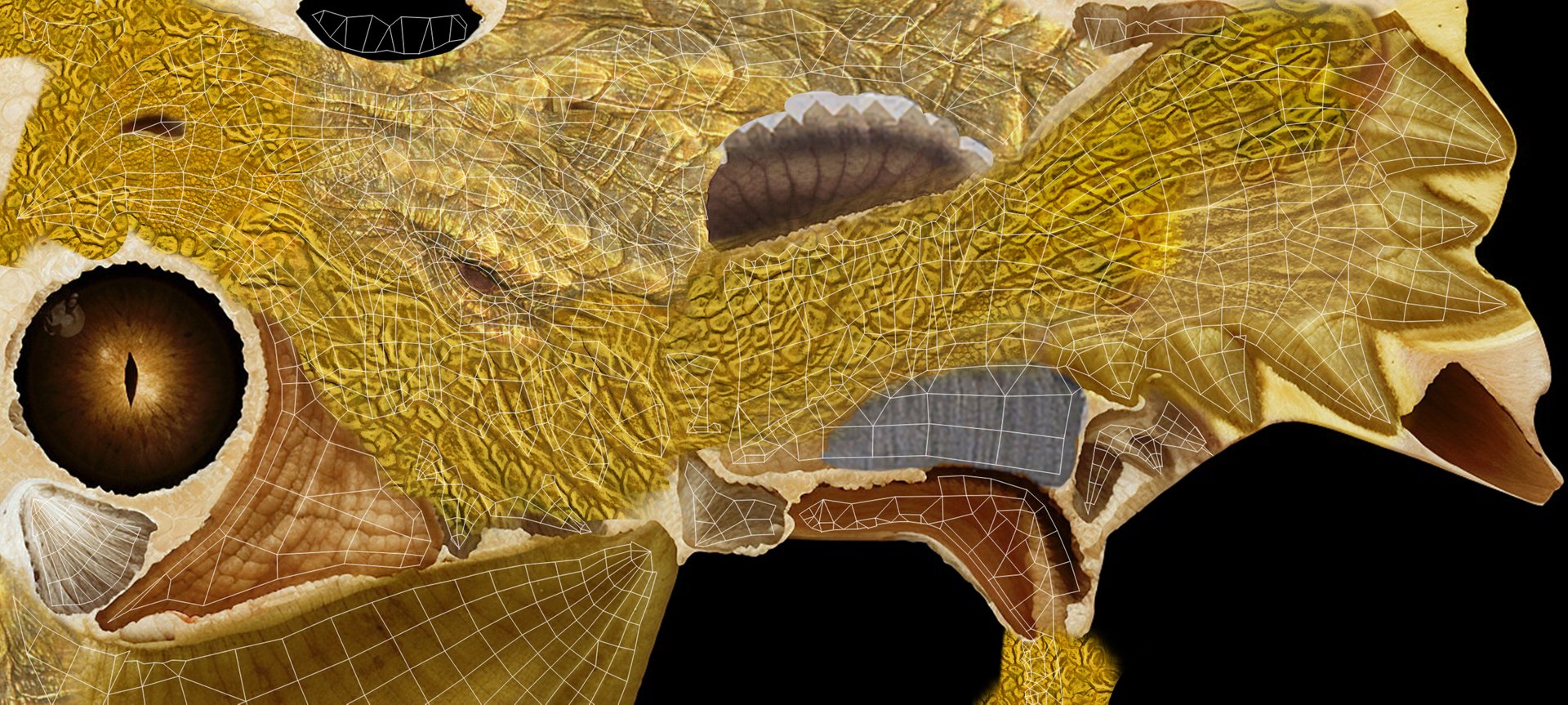 Golden Chinese Dragon model https://p.turbosquid.com/ts-thumb/O5/lj39c6/IO/uv/jpg/1716107825/1920x1080/fit_q87/9cbee8ff68da0ef7d1cf3d76c4648ac2c591ebd9/uv.jpg