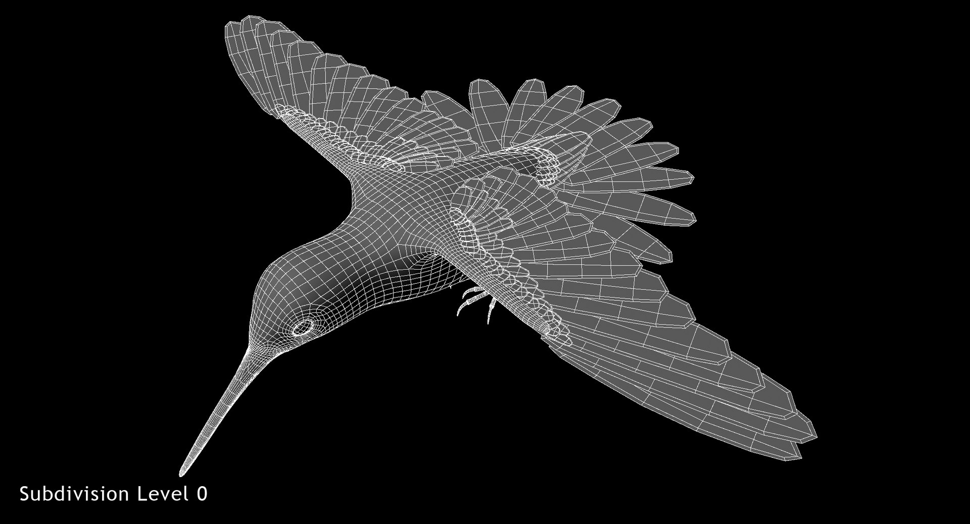 green-crowned woodnymph animation green model https://p.turbosquid.com/ts-thumb/O5/lnXaLb/8qH3SH0r/w01/jpg/1569990212/1920x1080/fit_q87/3fce11c8524a822a2eae0afb841bde3c619b9de9/w01.jpg