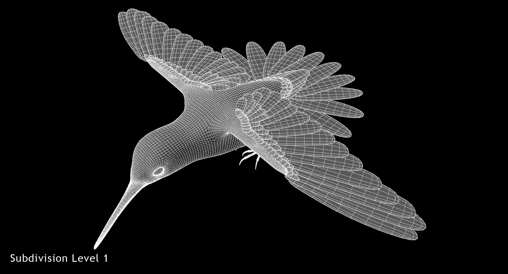 green-crowned woodnymph animation green model https://p.turbosquid.com/ts-thumb/O5/lnXaLb/9lgQFiN5/w02/jpg/1569990212/1920x1080/fit_q87/d3f59b10448ac1365eeee7baae5ea0b63f76d4a8/w02.jpg