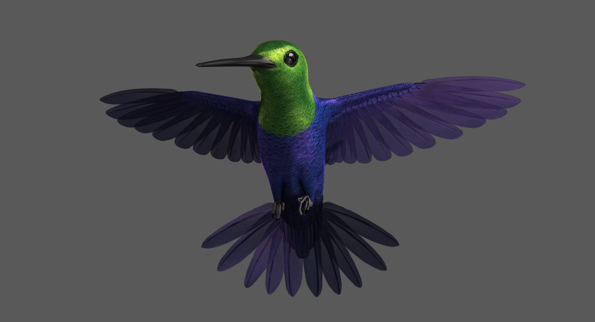 green-crowned woodnymph animation green model https://p.turbosquid.com/ts-thumb/O5/lnXaLb/CYMgTqmS/green_crowned_woodnymph_hummingbird_poses_008/jpg/1569990137/1920x1080/fit_q87/d367df0ac67e1b5841431f53712909cda5311209/green_crowned_woodnymph_hummingbird_poses_008.jpg