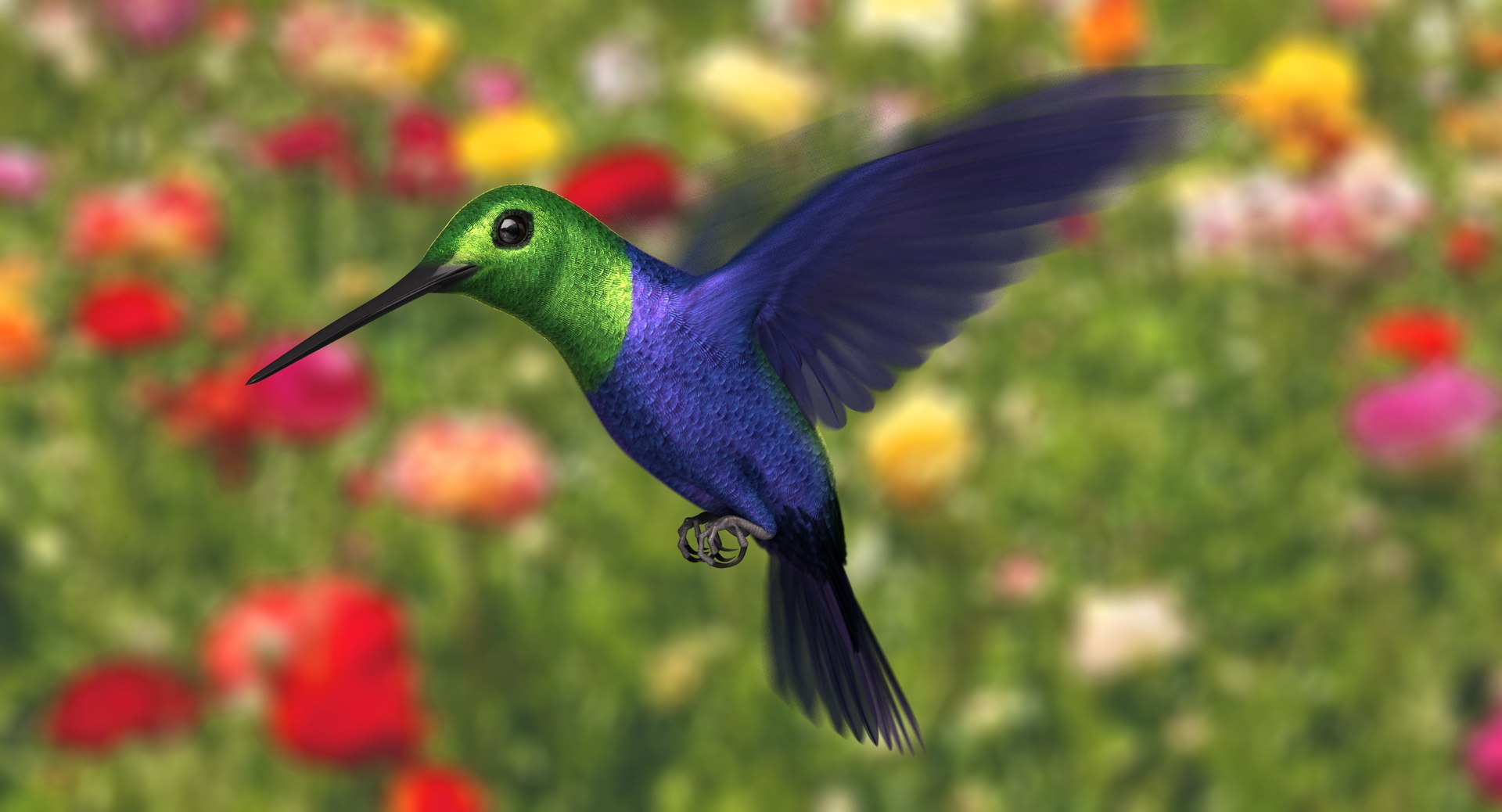 green-crowned woodnymph animation green model https://p.turbosquid.com/ts-thumb/O5/lnXaLb/Hypxcl1c/ra02/jpg/1569990137/1920x1080/fit_q87/4deaef96cf200b15f4bfc853529ceb23e8585c3b/ra02.jpg