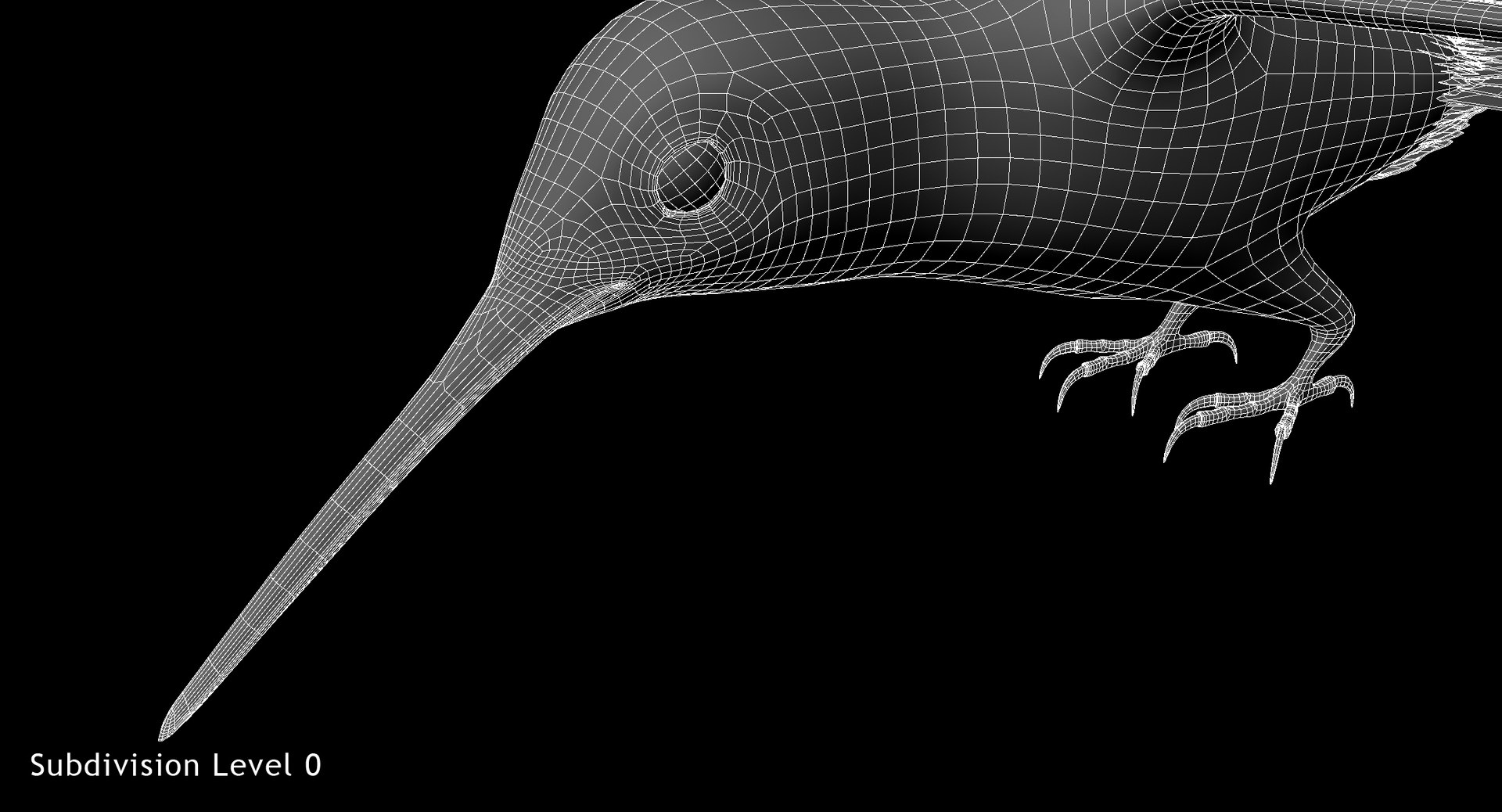 green-crowned woodnymph animation green model https://p.turbosquid.com/ts-thumb/O5/lnXaLb/eNYmDZuv/w05/jpg/1569990212/1920x1080/fit_q87/11d7ccdcb53b31490041cef1601d789655b1ee34/w05.jpg