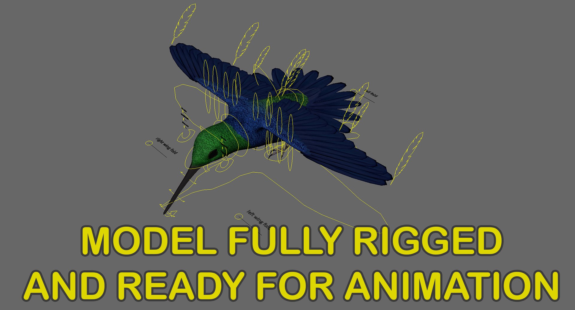 green-crowned woodnymph animation green model https://p.turbosquid.com/ts-thumb/O5/lnXaLb/mHDd7chC/rigged_wide/jpg/1569990137/1920x1080/fit_q87/fe1dd9976bc1d3014ede4a207d591d098bd7258f/rigged_wide.jpg