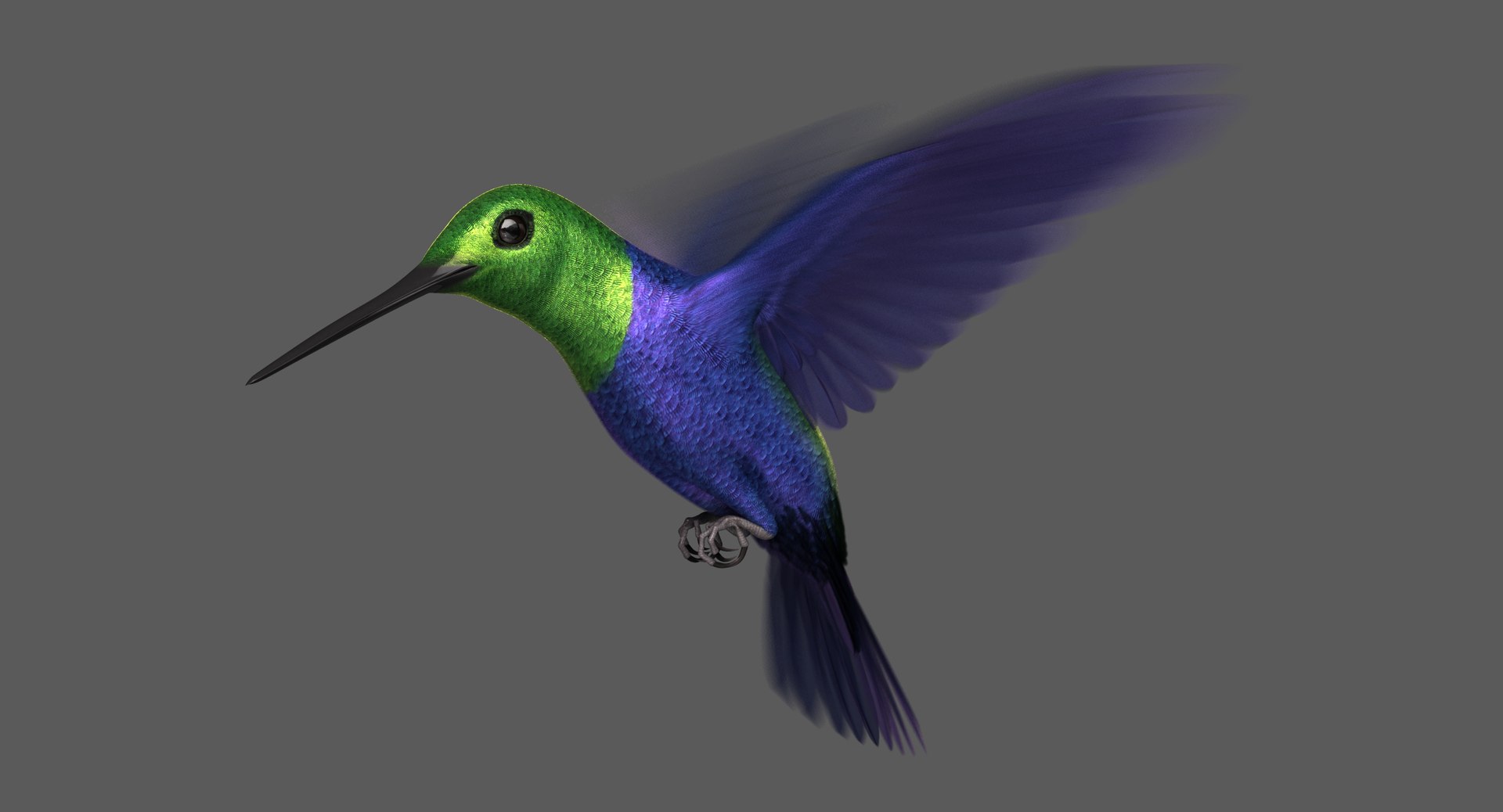 green-crowned woodnymph animation green model https://p.turbosquid.com/ts-thumb/O5/lnXaLb/q1aS9qHZ/ra03/jpg/1569990137/1920x1080/fit_q87/24c71a0e65f0d243f0972ffc27045292708bdebd/ra03.jpg