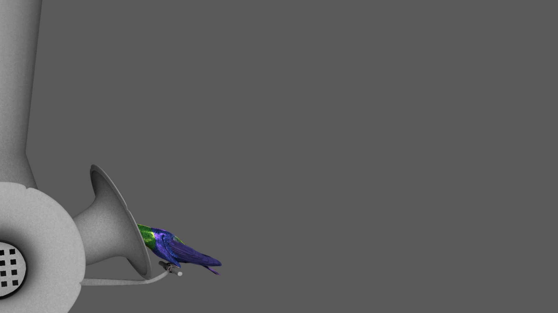 green-crowned woodnymph animation green model https://p.turbosquid.com/ts-thumb/O5/lnXaLb/yfIqtjFU/green_crowned_woodnymph_hummingbird_animation_land_eat_takeoff/jpg/1569989753/1920x1080/turn_fit_q99/18524e318f88beb21237244dd2a4fe6a4025e0ab/green_crowned_woodnymph_hummingbird_animation_land_eat_takeoff-1.jpg