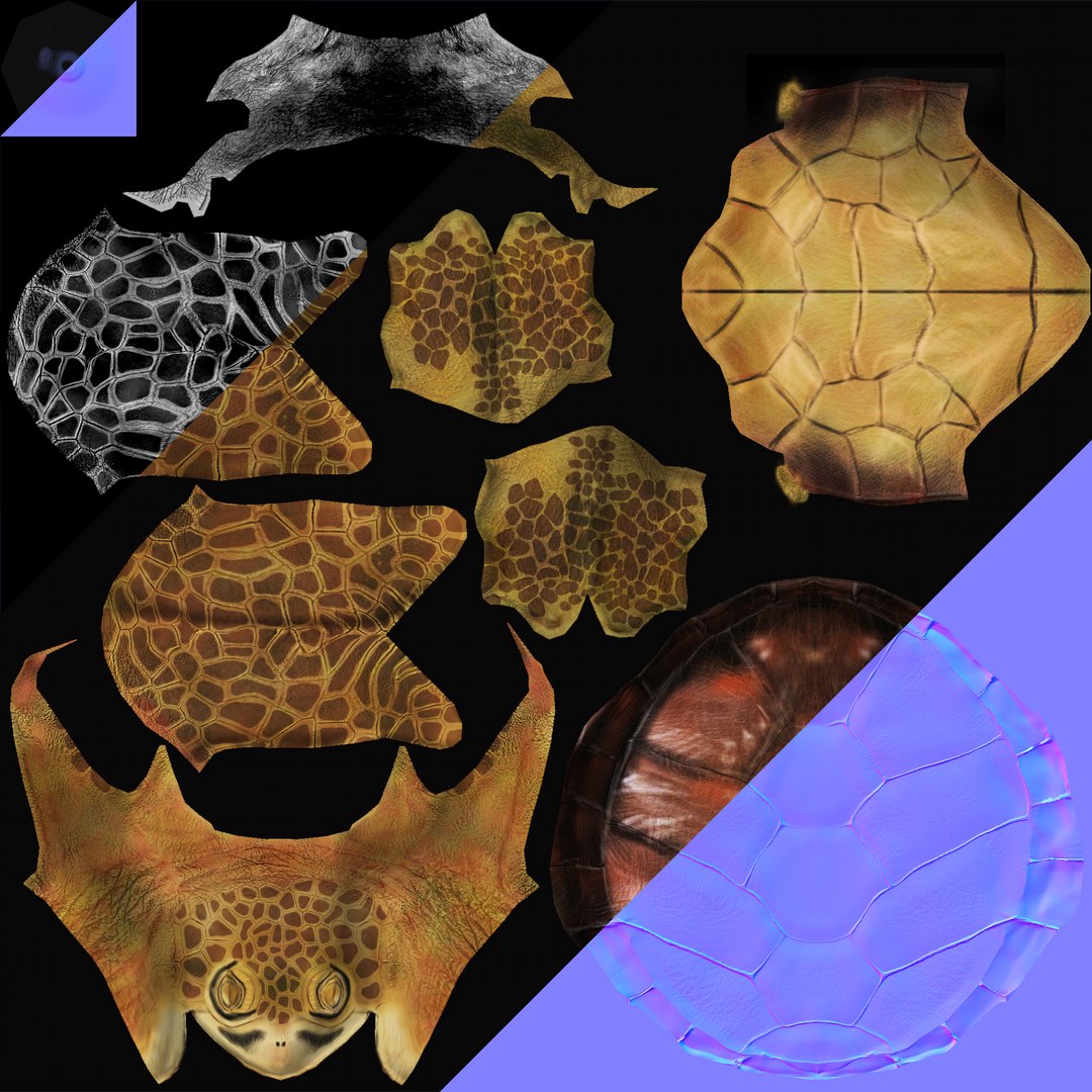 3d model sea turtle