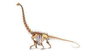 Argentinosaurus Rigged Skeleton Massive Prehistoric Creature