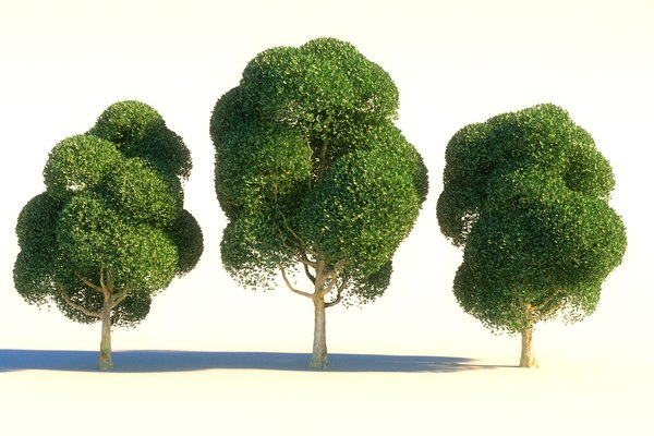 3D perfect garden tree pack model - TurboSquid 1545276