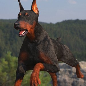 3D Doberman Pinscher Fur Rigged