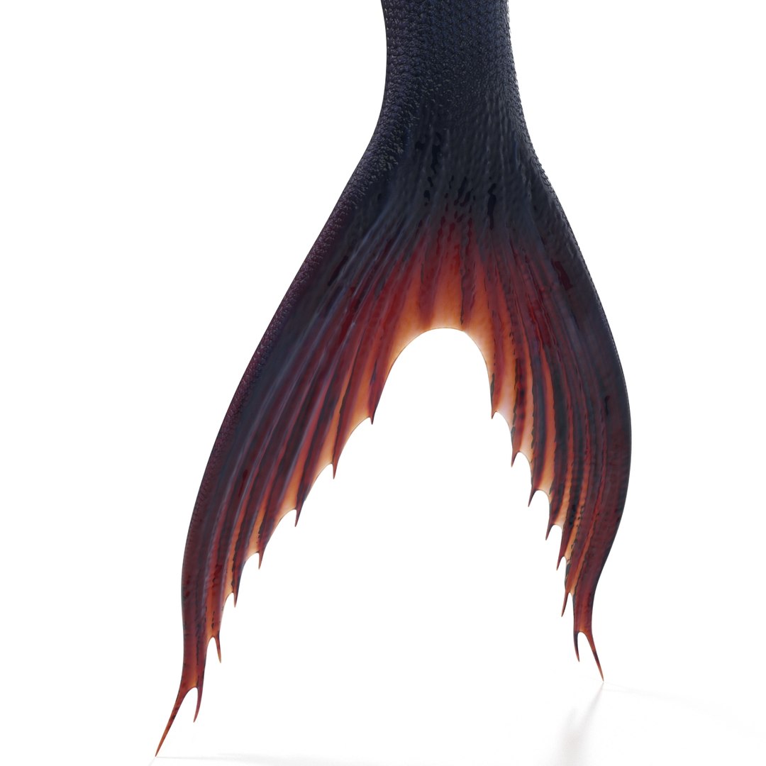 mermaid 3d model https://p.turbosquid.com/ts-thumb/O6/CysBek/SBUyO8pf/mermaidfur_35/jpg/1389120194/1920x1080/fit_q87/706dce5de3cbf1f3c38535db06255feb4a2046ed/mermaidfur_35.jpg