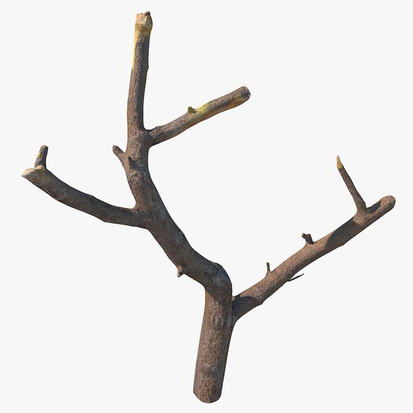 Twig Scanned 29 3D