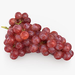 Red Grapes 03