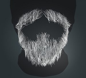 3D Beard RealTime 10 Version 1