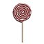 Lollipop