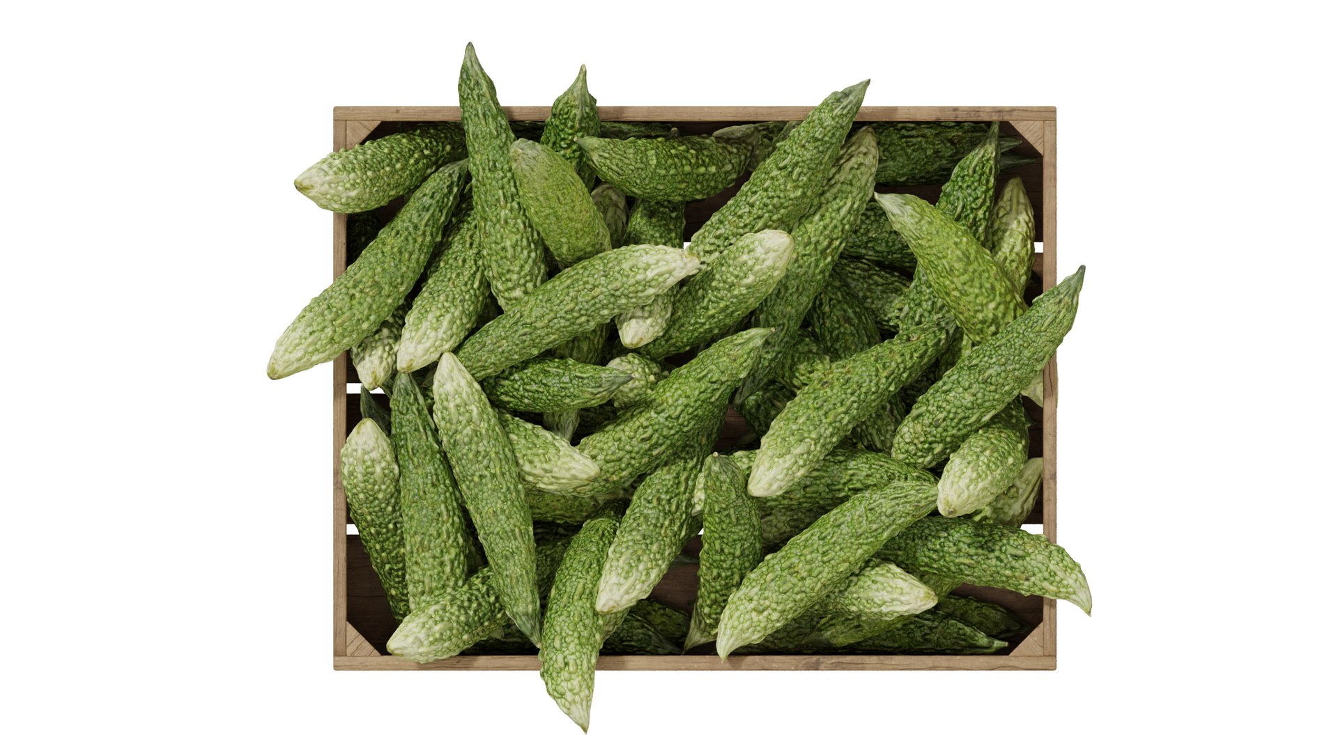 3D Japanese bitter melon crates https://p.turbosquid.com/ts-thumb/O6/yxErlo/pz/3_interactivelightmix/png/1664796457/1920x1080/fit_q87/c0546b3dfbbd309c1289b499afdb0ed1cdec5245/3_interactivelightmix.jpg