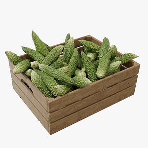 3D Japanese bitter melon crates