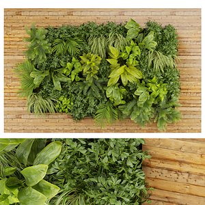 3D model Collection plant vol 503- garden - leaf - fern - wood