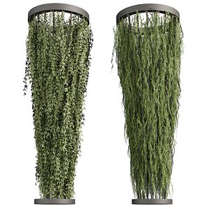 3D model plant vol 886 - ampelous - column - ivyv - fitowall