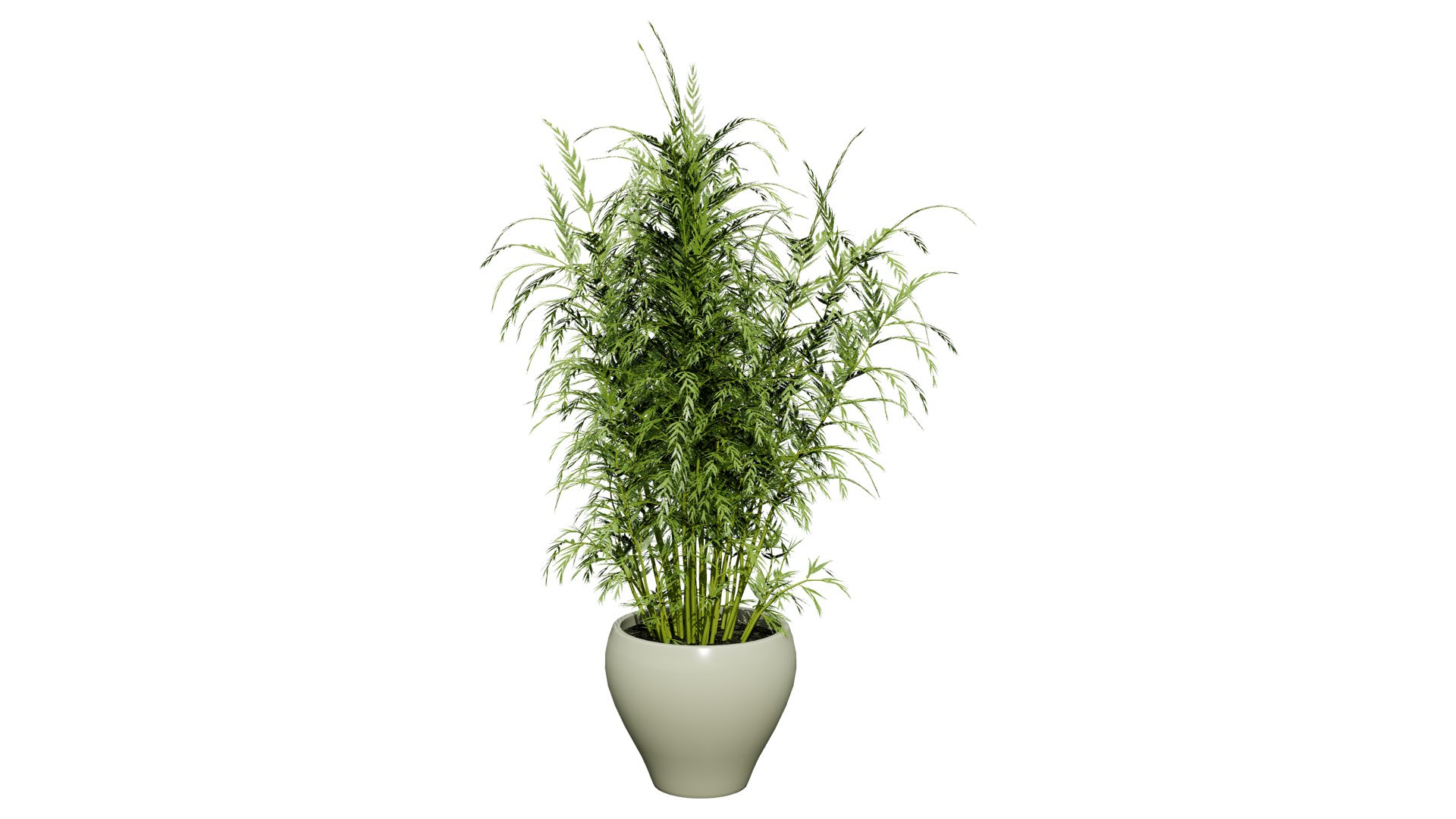 3D Asparagus Plant with Stem Sprouts 3D model https://p.turbosquid.com/ts-thumb/O7/QpKJeq/Jo/asparagusplant03z9l/jpg/1738363771/1920x1080/fit_q87/b2bccd1fe396dbdf00ab7d80c6a68ccd9d62d303/asparagusplant03z9l.jpg
