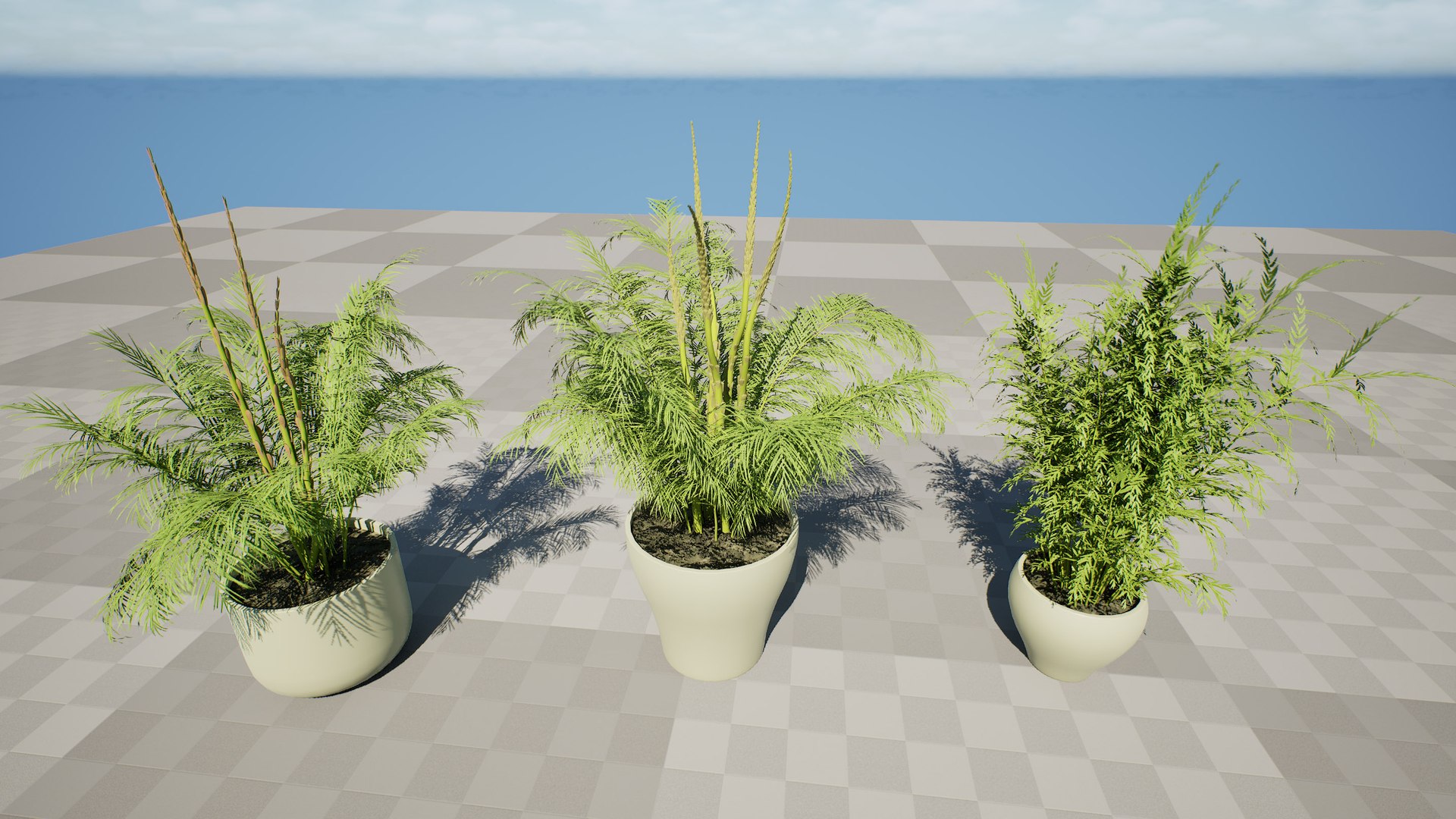 3D Asparagus Plant with Stem Sprouts 3D model https://p.turbosquid.com/ts-thumb/O7/QpKJeq/rc/highresscreenshot00001/jpg/1738363792/1920x1080/fit_q87/67264a139043bd81d7fd6ff73dac047bba04f394/highresscreenshot00001.jpg