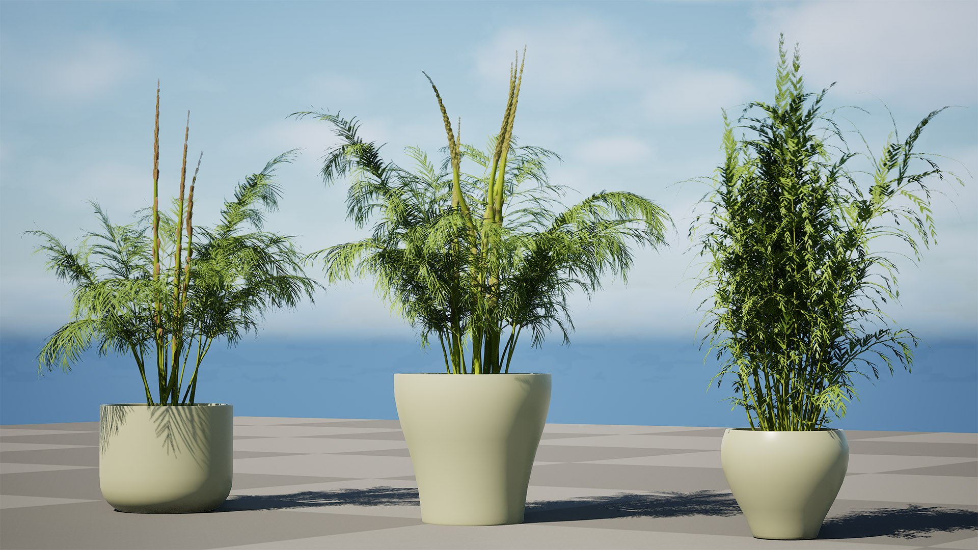 3D Asparagus Plant with Stem Sprouts 3D model https://p.turbosquid.com/ts-thumb/O7/QpKJeq/vV/highresscreenshot00000/jpg/1738363787/1920x1080/fit_q87/881961232ad63d1266cfb6932528cbbf4ae35587/highresscreenshot00000.jpg