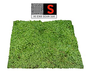 forest ground 16k hd 3d model