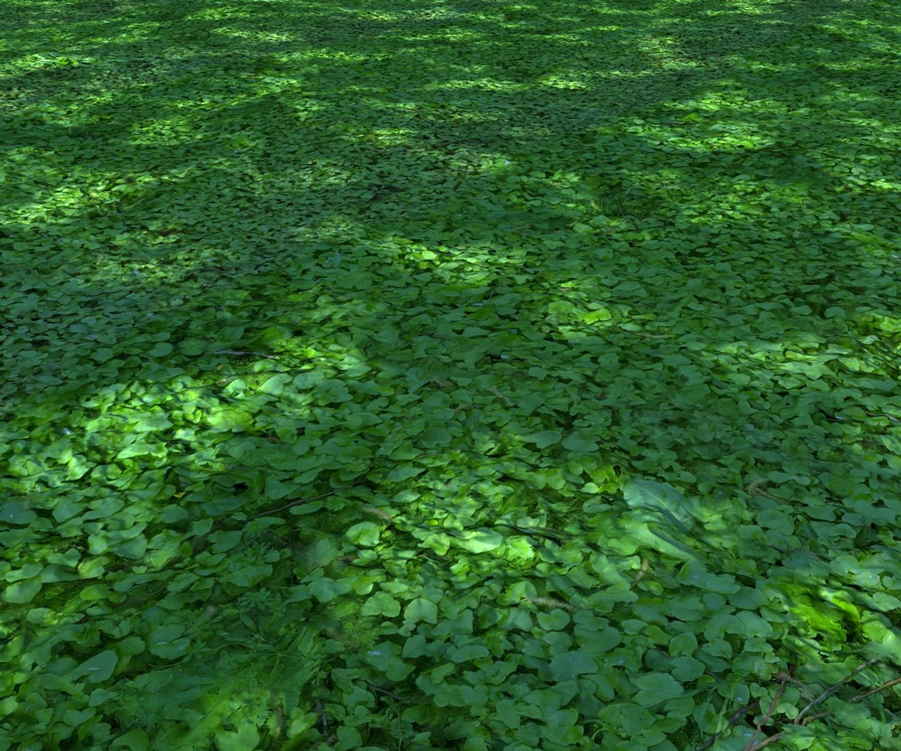 forest ground 16k hd 3d model