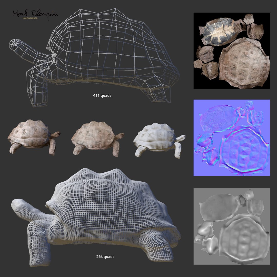 3d Turtle