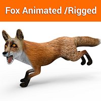 Red Fox rigged  animated model