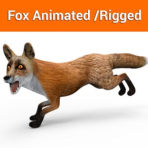 Red Fox rigged animated model