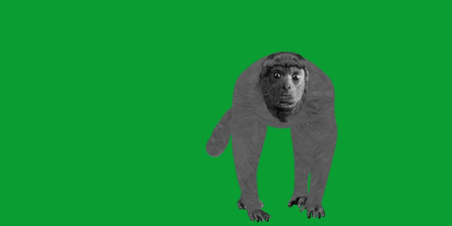HowlerMonkey model https://p.turbosquid.com/ts-thumb/O7/pEBrLI/2Q/red_howler_monkey16/png/1733508660/1920x1080/fit_q87/50dc241ab1b6601ddf64c51b295d243a9de9d4f6/red_howler_monkey16.jpg
