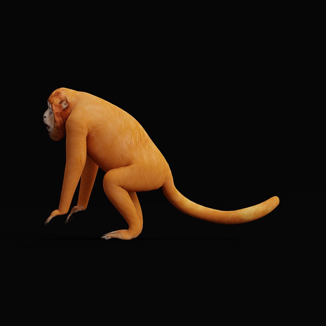 HowlerMonkey model https://p.turbosquid.com/ts-thumb/O7/pEBrLI/8T/red_howler_monkey_rig_0007/jpg/1733508650/1920x1080/fit_q87/6859af260f23be14407699f12946f984f6b1ef6c/red_howler_monkey_rig_0007.jpg