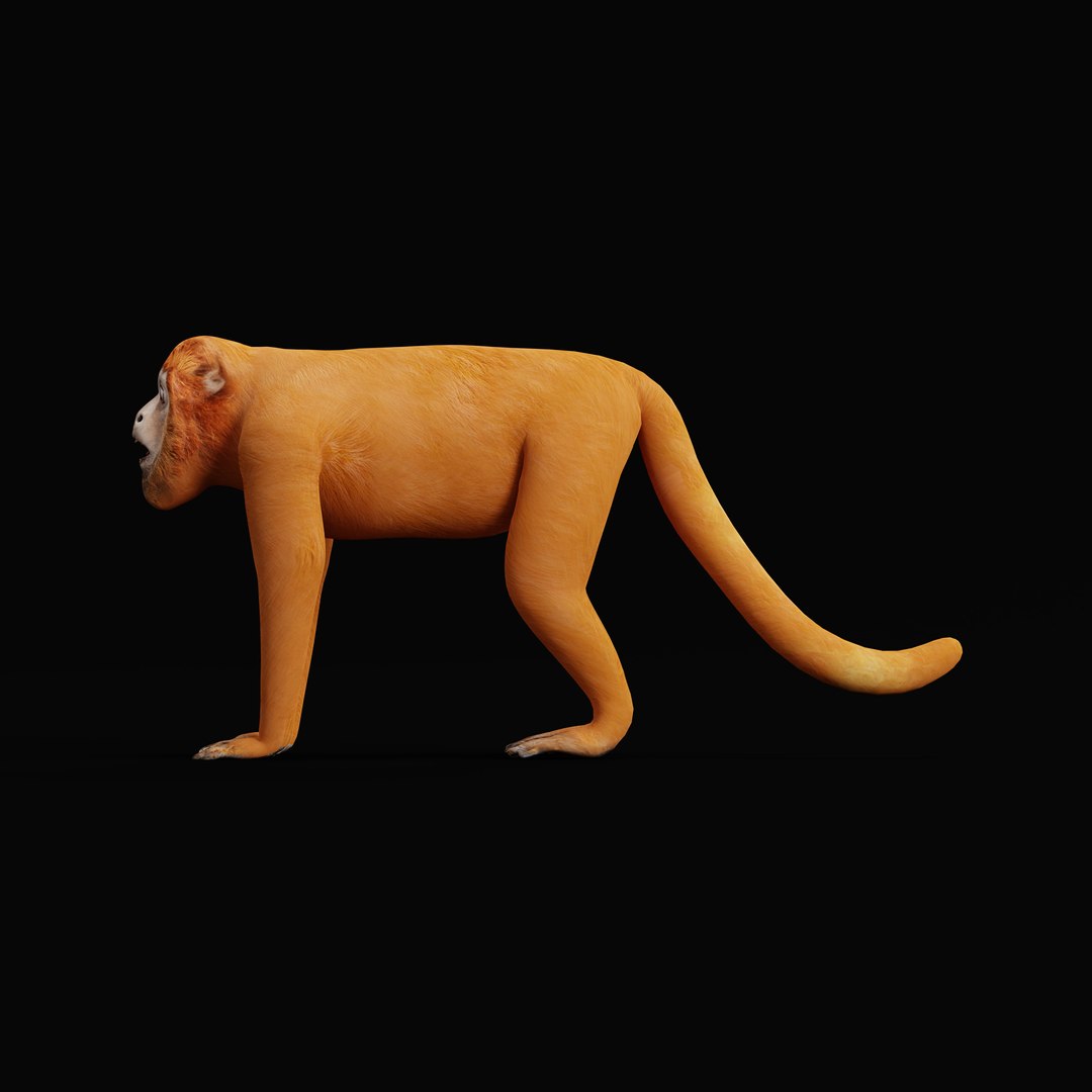 HowlerMonkey model https://p.turbosquid.com/ts-thumb/O7/pEBrLI/Kl/red_howler_monkey_rig/jpg/1733508673/1920x1080/fit_q87/5f3c81e2a4f35f16e52c7045585089094feb1063/red_howler_monkey_rig.jpg