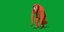 Howler Monkey