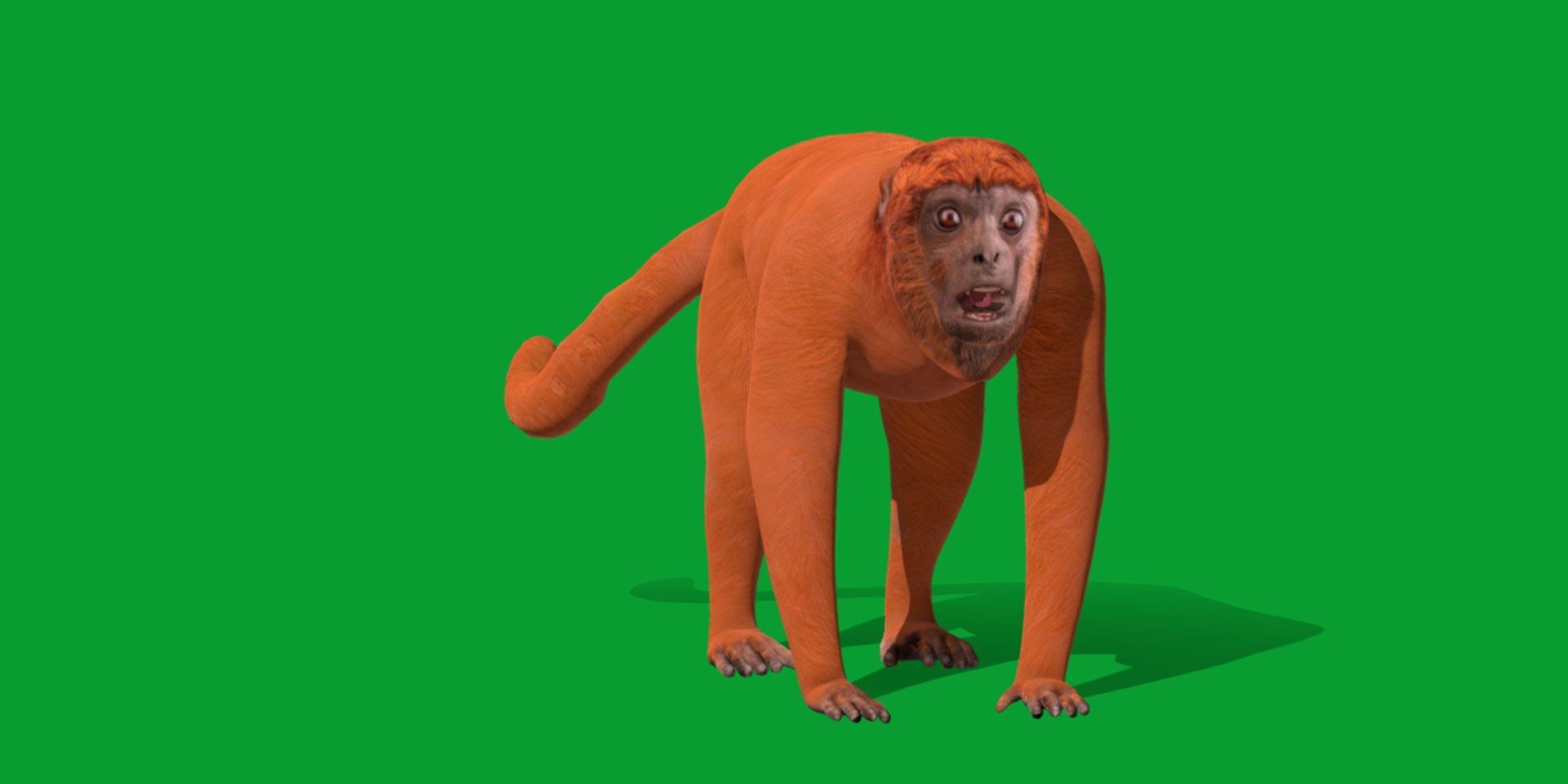 HowlerMonkey model https://p.turbosquid.com/ts-thumb/O7/pEBrLI/oe/red_howler_monkey3/png/1733508652/1920x1080/fit_q87/42332f605a2237336b531f2d108c45b445da5aaa/red_howler_monkey3.jpg