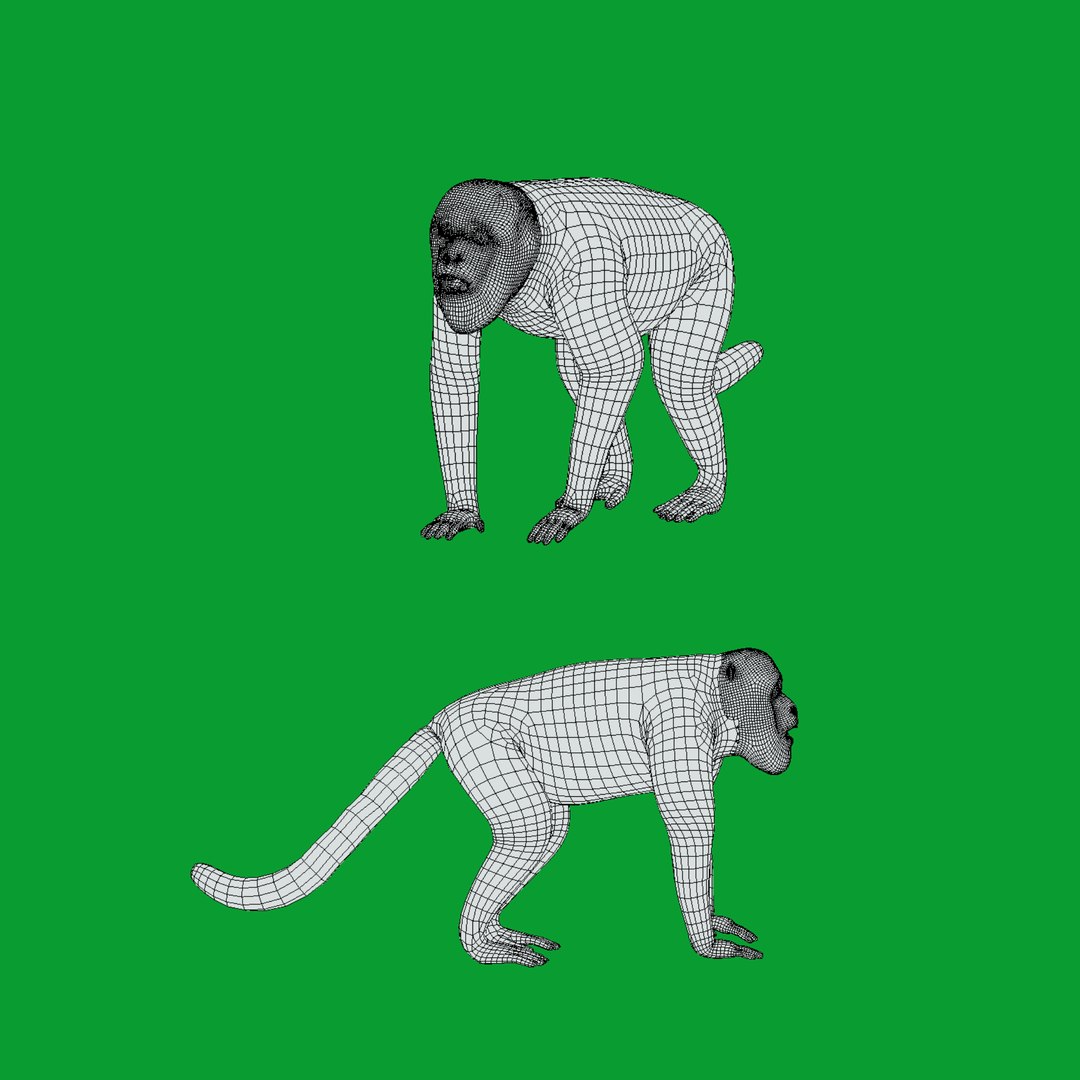 HowlerMonkey model https://p.turbosquid.com/ts-thumb/O7/pEBrLI/zE/wire/png/1733508631/1920x1080/fit_q87/abb4a880a0df2f4849ac20dca80f78aea87a46d9/wire.jpg