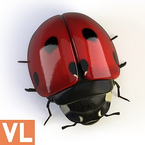 DOWNLOAD] Ladybug Edited Mobile Game Model by UncleNintendo on