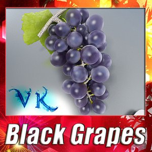 Photorealistic Black Grapes + High Resolution Textures